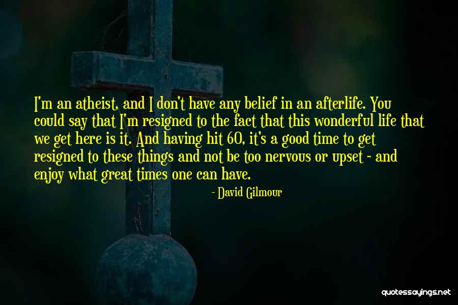 Wonderful Things In Life Quotes By David Gilmour Wonderful Things In Life Quotes By David Gilmour