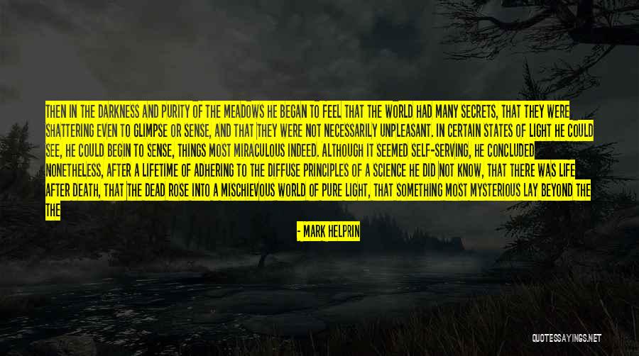 Wonderful Things In Life Quotes By Mark Helprin Wonderful Things In Life Quotes By Mark Helprin