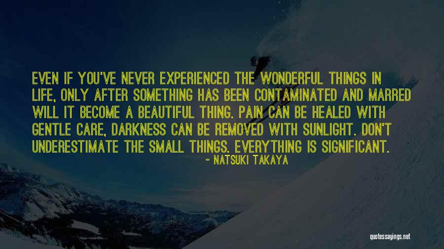 Wonderful Things In Life Quotes By Natsuki Takaya Wonderful Things In Life Quotes By Natsuki Takaya