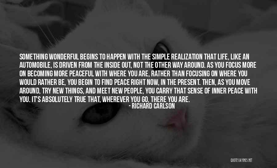 Wonderful Things In Life Quotes By Richard Carlson Wonderful Things In Life Quotes By Richard Carlson