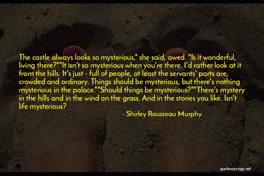 Wonderful Things In Life Quotes By Shirley Rousseau Murphy Wonderful Things In Life Quotes By Shirley Rousseau Murphy