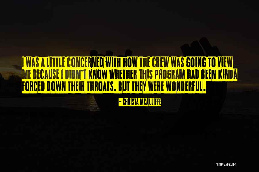 Wonderful View Quotes By Christa McAuliffe Wonderful View Quotes By Christa McAuliffe