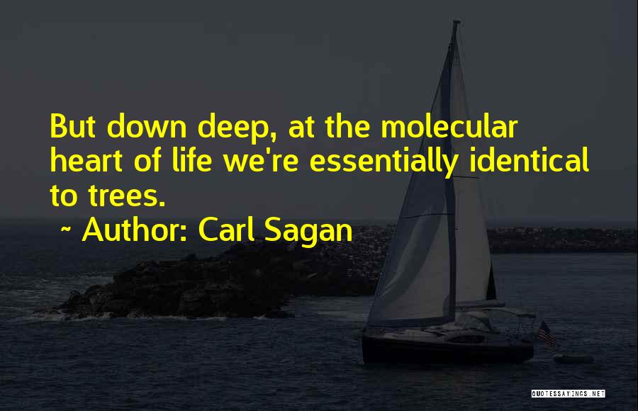 Wonderful Wives Quotes By Carl Sagan