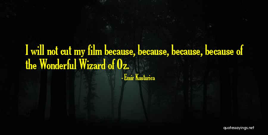 Wonderful Wizard Of Oz Quotes By Emir Kusturica Wonderful Wizard Of Oz Quotes By Emir Kusturica