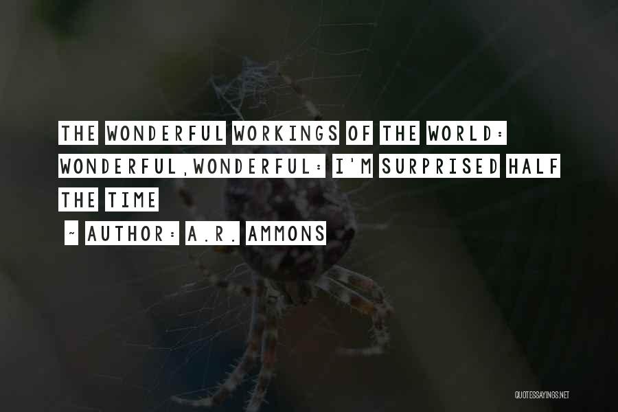 Wonderful World Of Quotes By A.R. Ammons