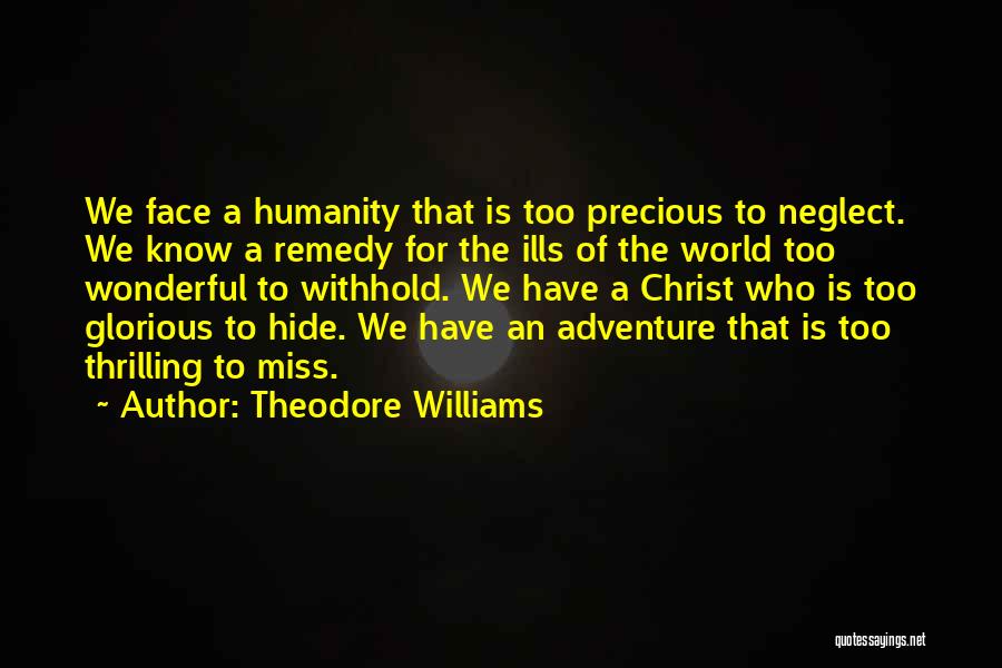 Wonderful World Of Quotes By Theodore Williams