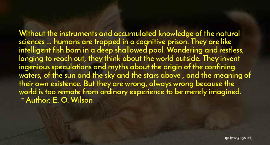 Wondering If You're Thinking Of Me Too Quotes By E. O. Wilson