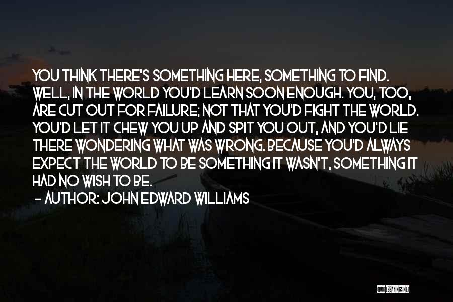 Wondering What I Did Wrong Quotes By John Edward Williams