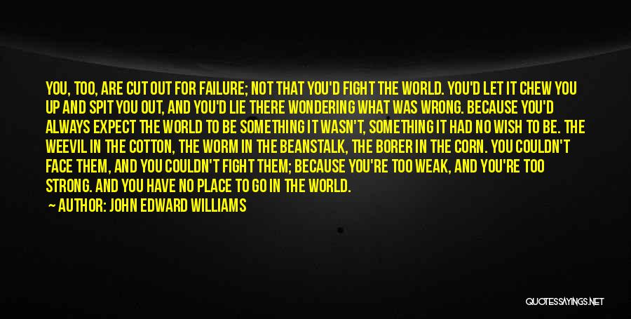 Wondering What You Did Wrong Quotes By John Edward Williams