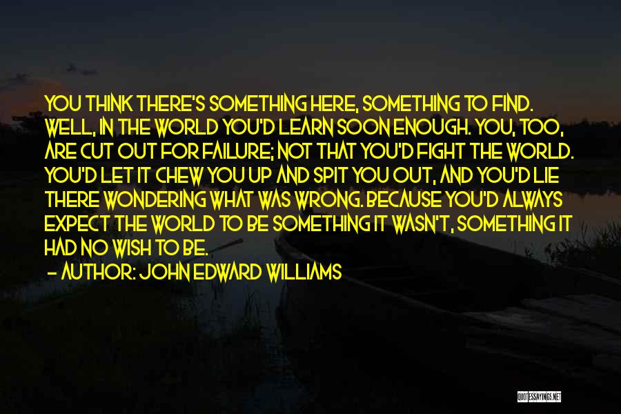 Wondering Where You Went Wrong Quotes By John Edward Williams