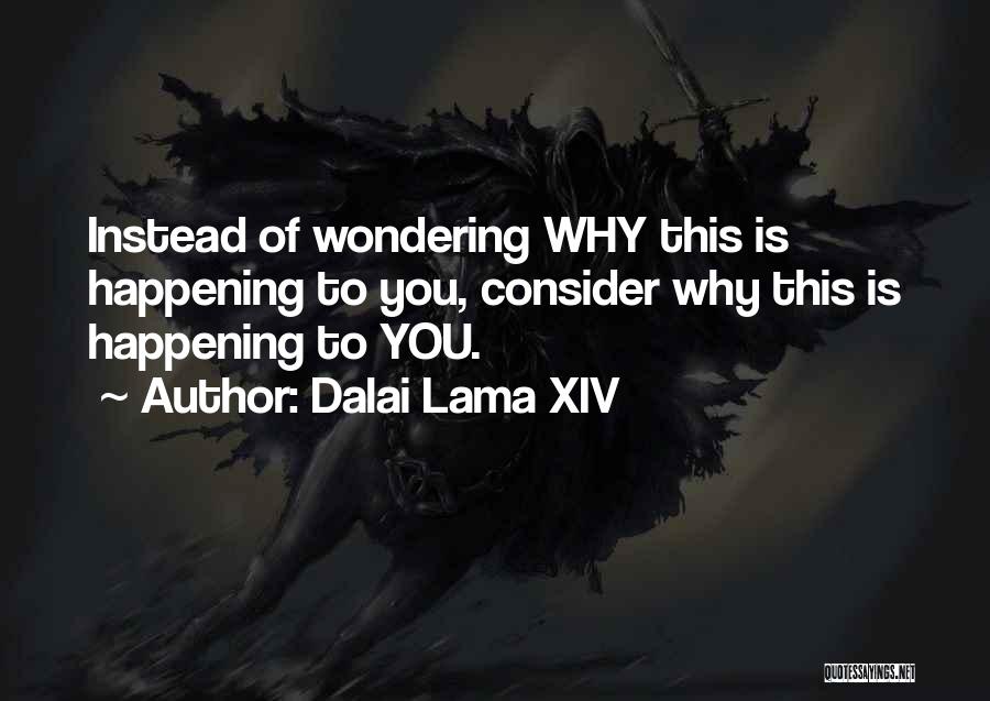 Wondering Why Quotes By Dalai Lama XIV