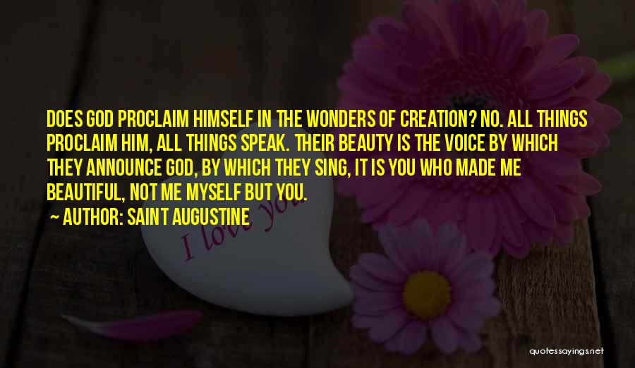 Wonders Of God's Creation Quotes By Saint Augustine