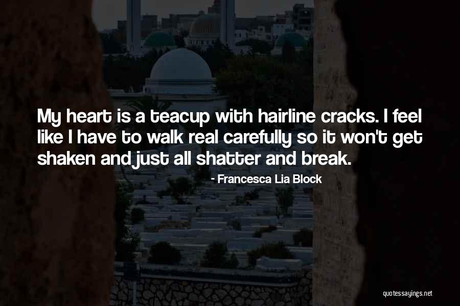 Won't Break Your Heart Quotes By Francesca Lia Block