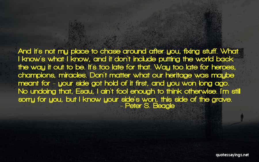Won't Chase You Quotes By Peter S. Beagle Won't Chase You Quotes By Peter S. Beagle
