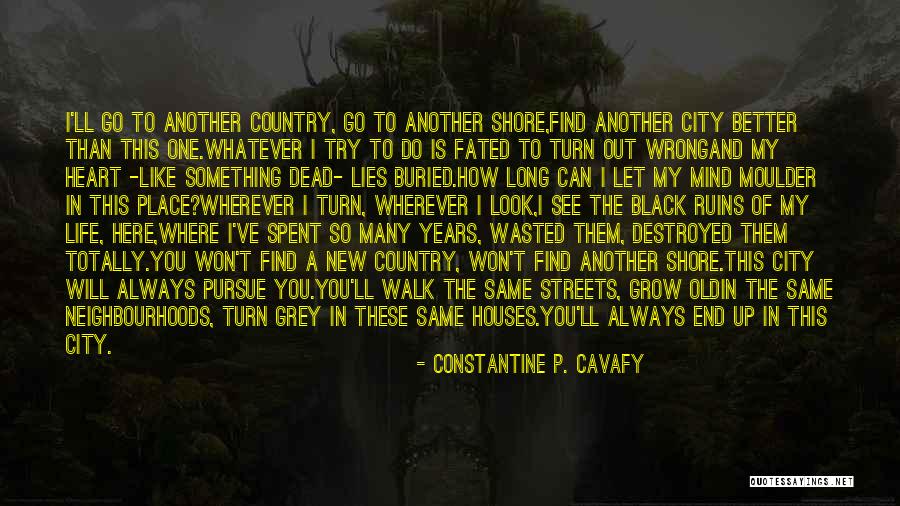 Won't Do The Same For You Quotes By Constantine P. Cavafy Won't Do The Same For You Quotes By Constantine P. Cavafy