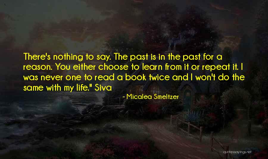 Won't Do The Same For You Quotes By Micalea Smeltzer