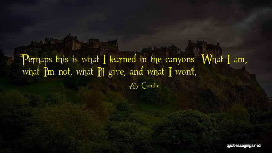 Won't Give Up On Us Quotes By Ally Condie Won't Give Up On Us Quotes By Ally Condie