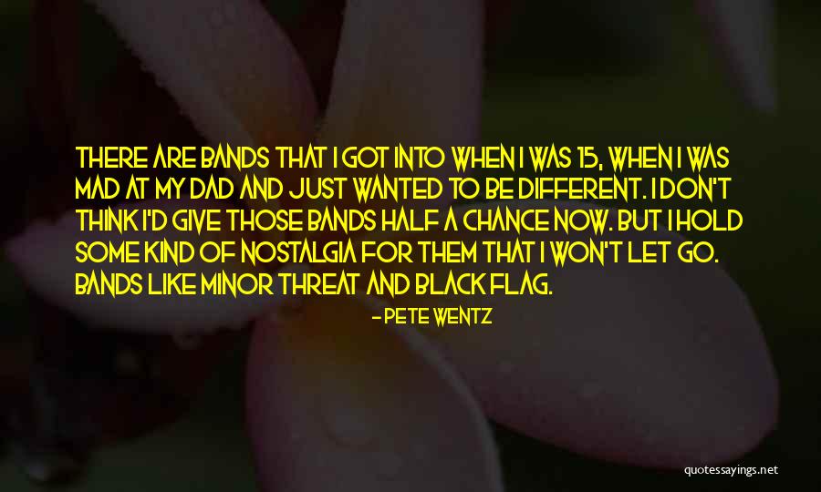 Won't Give Up On Us Quotes By Pete Wentz