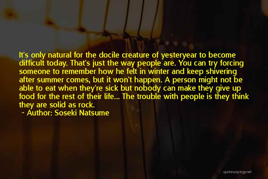 Won't Give Up You Quotes By Soseki Natsume
