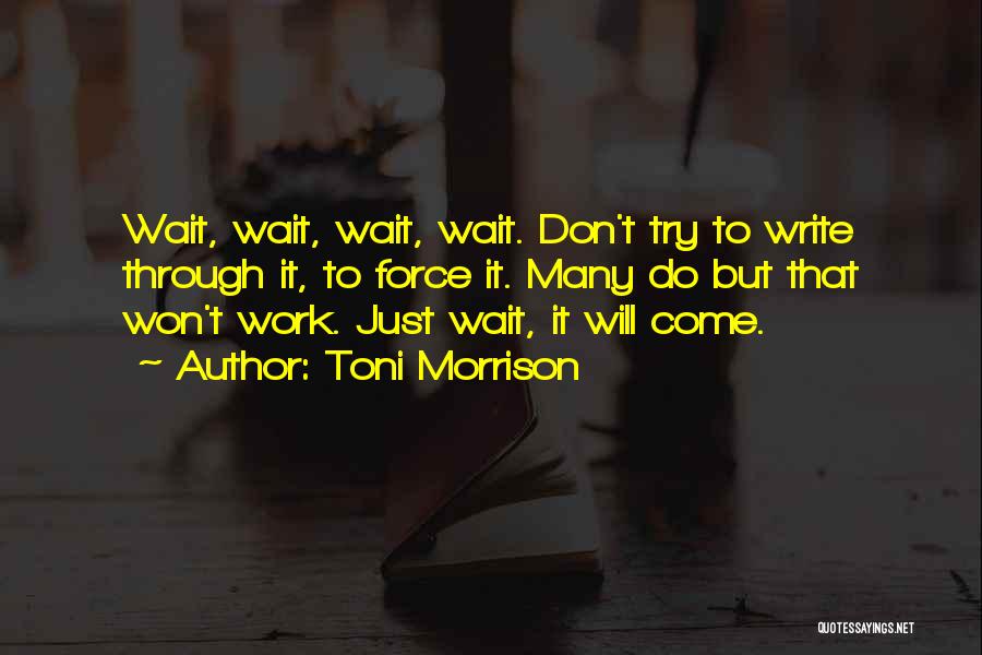 Won't Wait Quotes By Toni Morrison