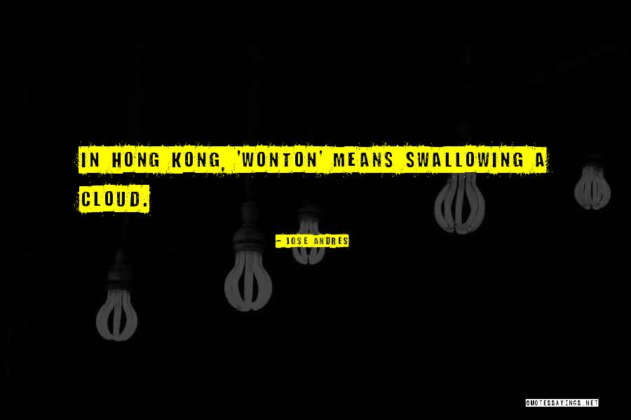 Wonton Quotes By Jose Andres Wonton Quotes By Jose Andres