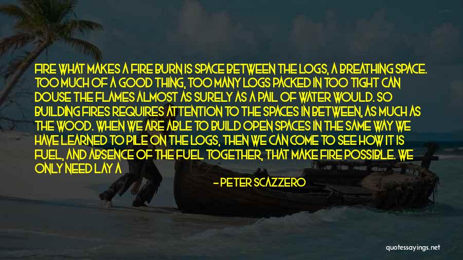 Wood And Fire Quotes By Peter Scazzero Wood And Fire Quotes By Peter Scazzero