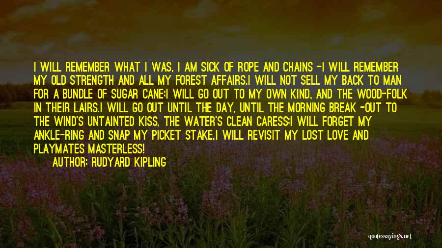 Wood And Love Quotes By Rudyard Kipling