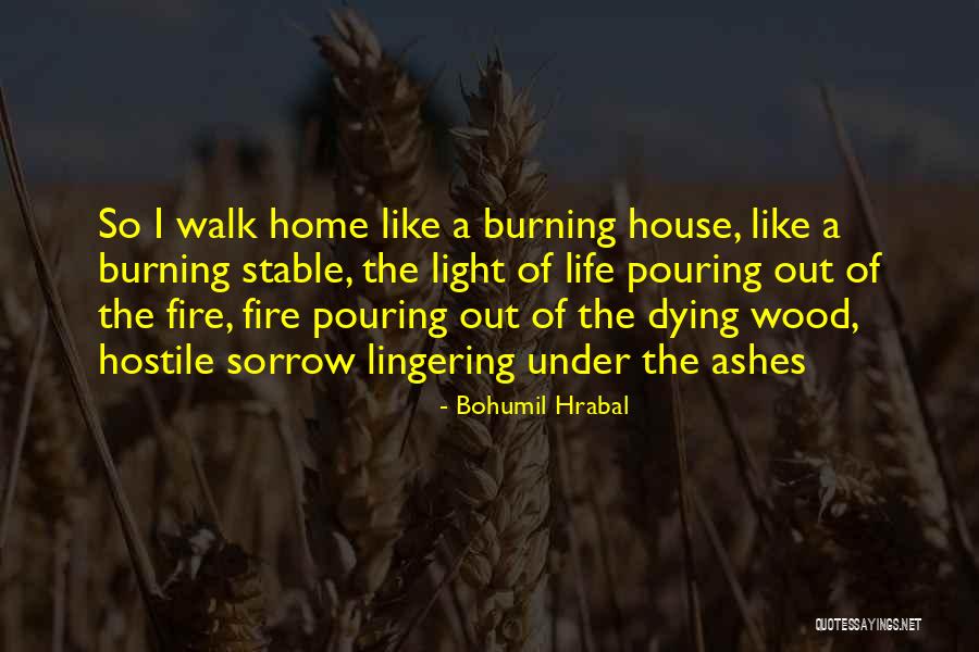 Wood Burning Quotes By Bohumil Hrabal