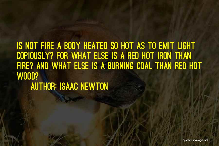 Wood Burning Quotes By Isaac Newton