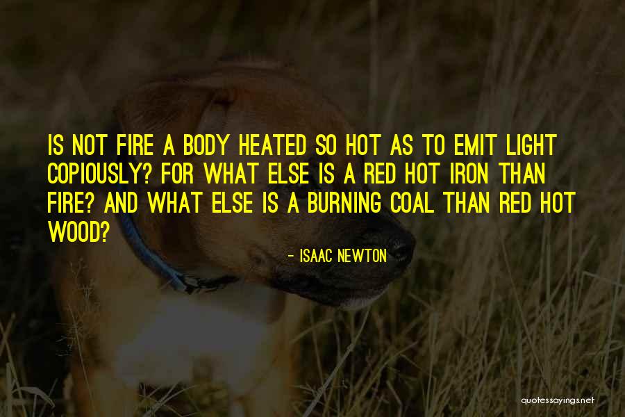 Wood Burning Quotes By Isaac Newton