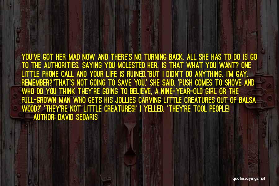 Wood Carving Quotes By David Sedaris