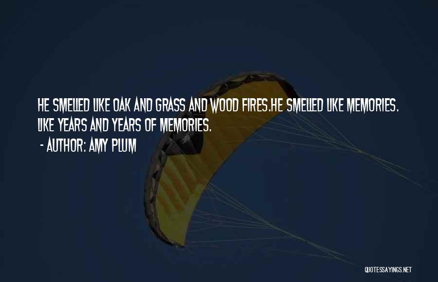 Wood Fires Quotes By Amy Plum