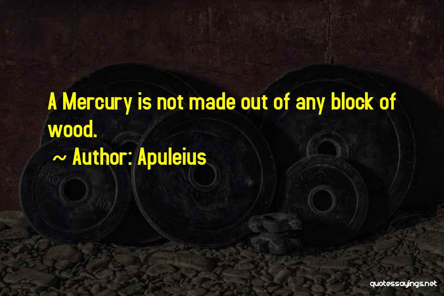 Wood Sculpture Quotes By Apuleius