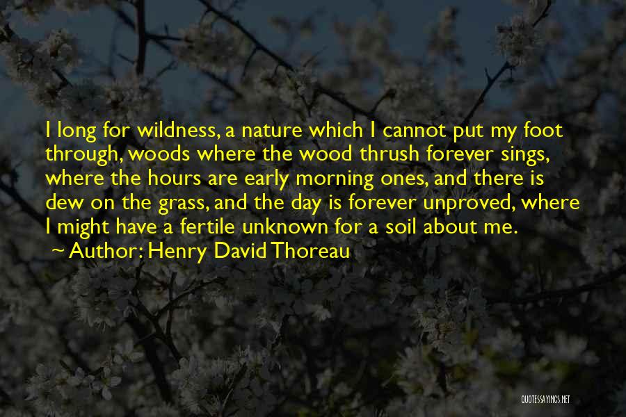 Wood Thrush Quotes By Henry David Thoreau