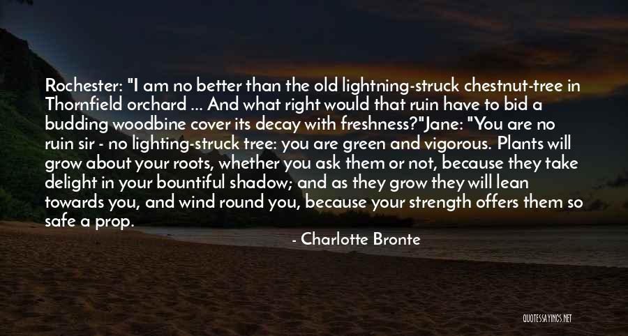 Woodbine Quotes By Charlotte Bronte Woodbine Quotes By Charlotte Bronte