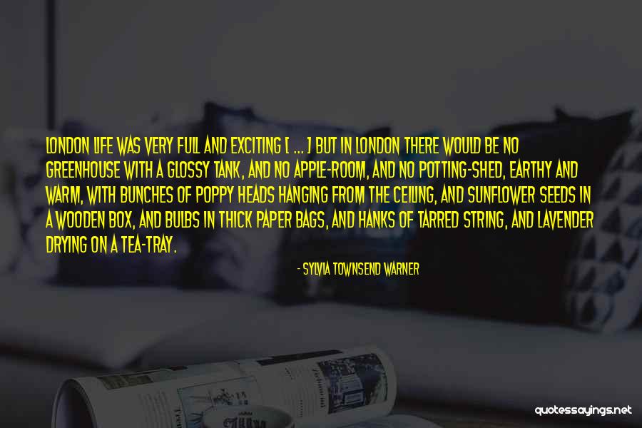 Wooden Box Quotes By Sylvia Townsend Warner
