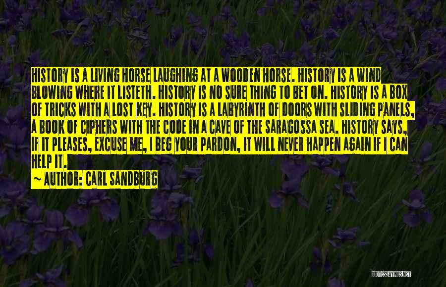 Wooden Horse Quotes By Carl Sandburg