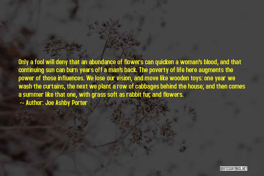 Wooden House Quotes By Joe Ashby Porter