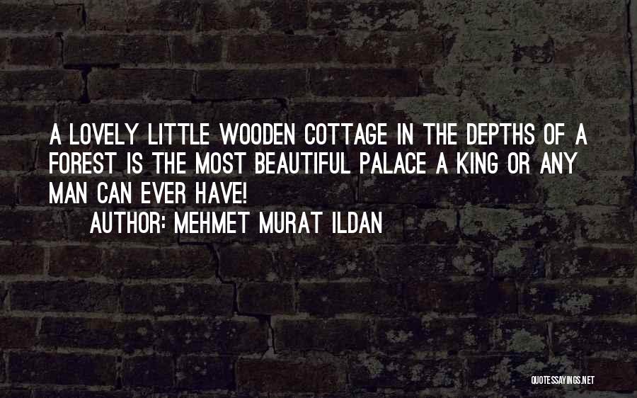 Wooden House Quotes By Mehmet Murat Ildan