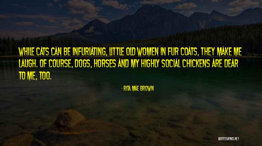 Woodfire Candle Quotes By Rita Mae Brown Woodfire Candle Quotes By Rita Mae Brown