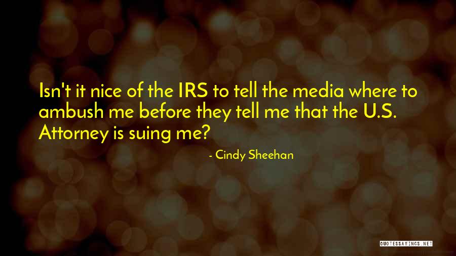 Woodies Cork Quotes By Cindy Sheehan Woodies Cork Quotes By Cindy Sheehan