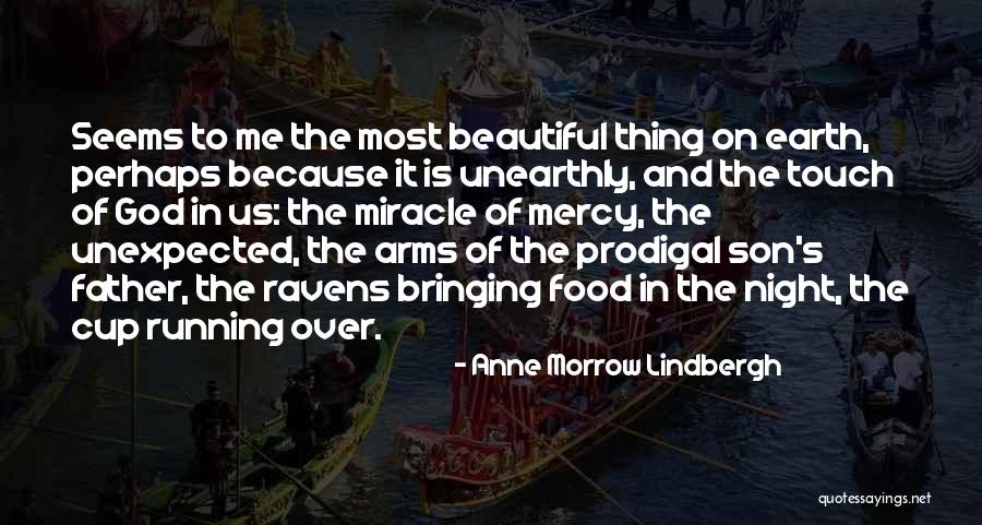 Woodlouse Spider Quotes By Anne Morrow Lindbergh Woodlouse Spider Quotes By Anne Morrow Lindbergh