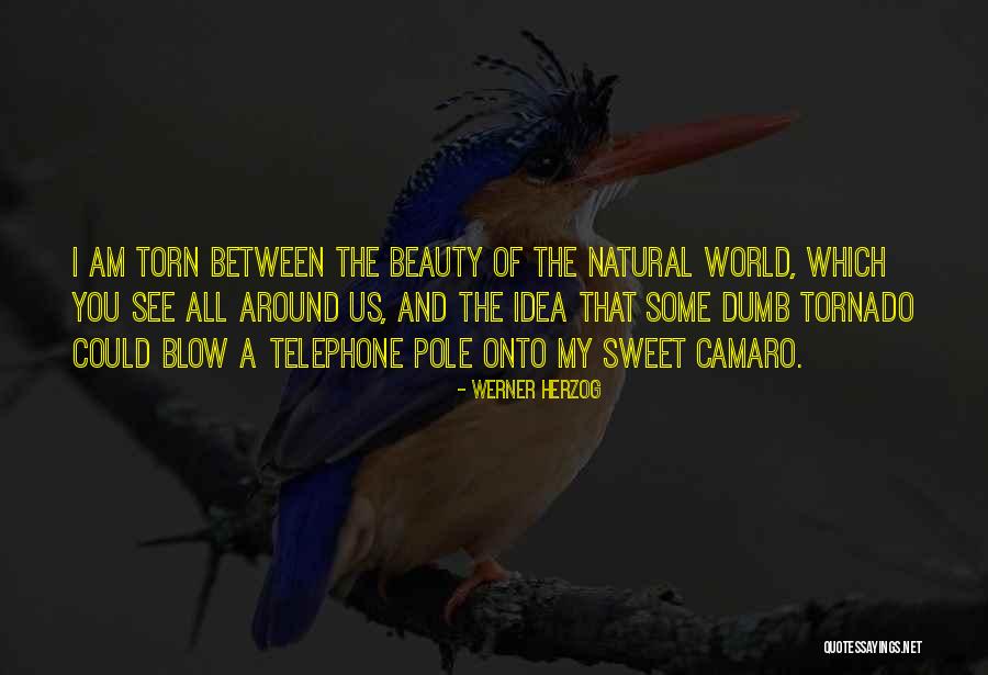 Woodman Arms Quotes By Werner Herzog Woodman Arms Quotes By Werner Herzog