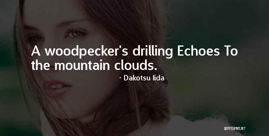 Woodpecker Best Quotes By Dakotsu Iida Woodpecker Best Quotes By Dakotsu Iida