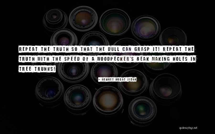 Woodpecker Best Quotes By Mehmet Murat Ildan Woodpecker Best Quotes By Mehmet Murat Ildan
