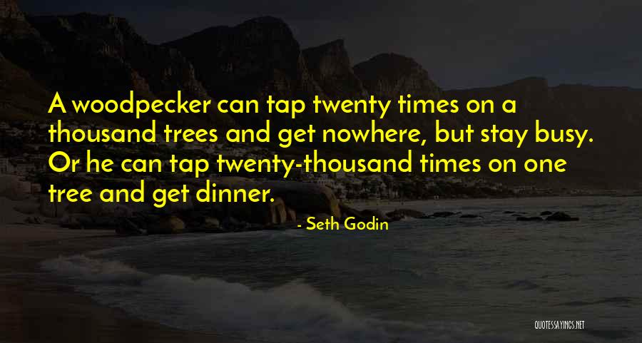 Woodpecker Best Quotes By Seth Godin Woodpecker Best Quotes By Seth Godin