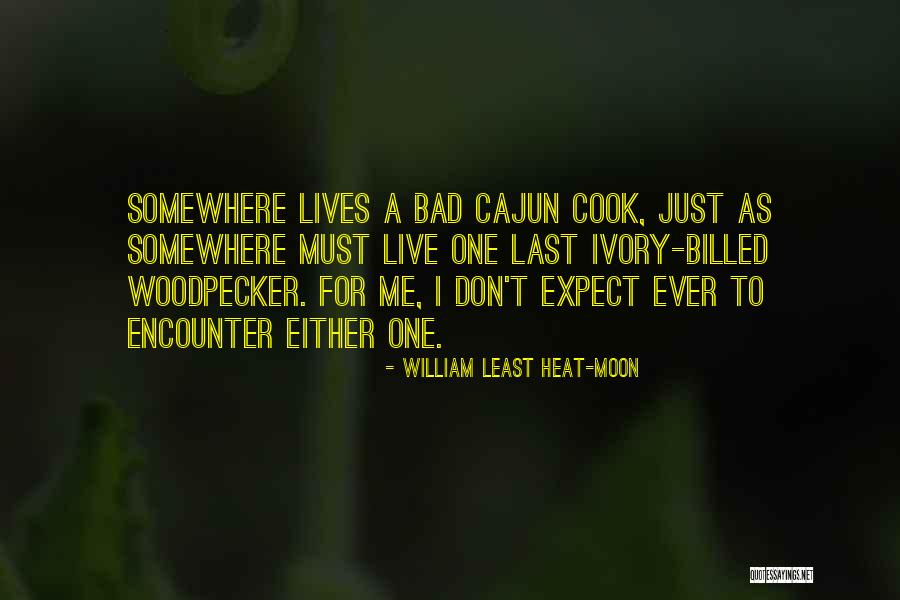 Woodpecker Best Quotes By William Least Heat-Moon Woodpecker Best Quotes By William Least Heat-Moon