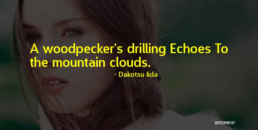 Woodpecker Quotes By Dakotsu Iida Woodpecker Quotes By Dakotsu Iida
