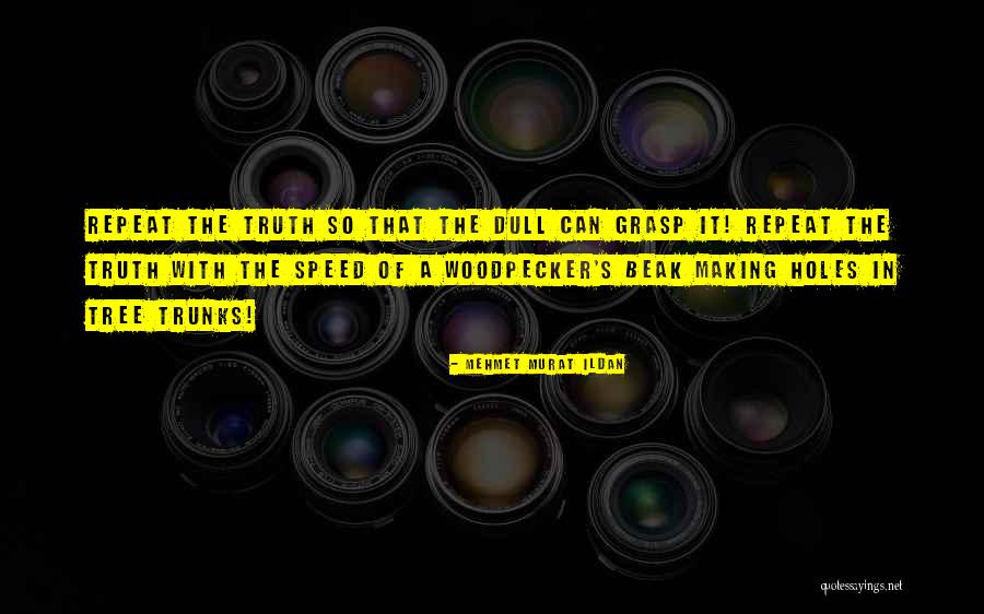 Woodpecker Quotes By Mehmet Murat Ildan Woodpecker Quotes By Mehmet Murat Ildan