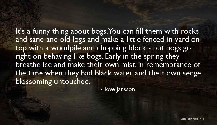 Woodpile Quotes By Tove Jansson Woodpile Quotes By Tove Jansson